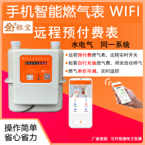Smart gas meter prepaid mobile phone remote control home rental apartment wifi gas meter liquefied gas meter
