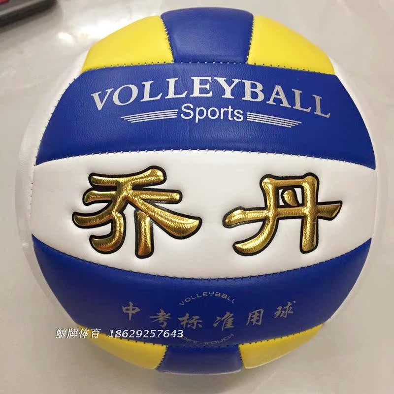 Ballon de volley - Ref 2011150 Image 3
