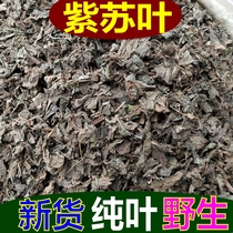 Chinese medicinal materials perilla leaves fresh dried perilla leaves perilla leaf tea wild perilla leaves dried goods 500g