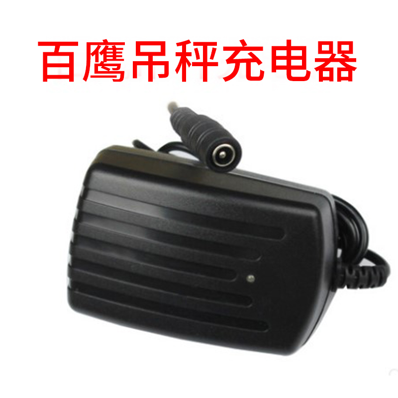 100 Eagle e-Libra battery charger battery wagon called accumulator Pendant Pounds 6V4A Power Accessories Promotion
