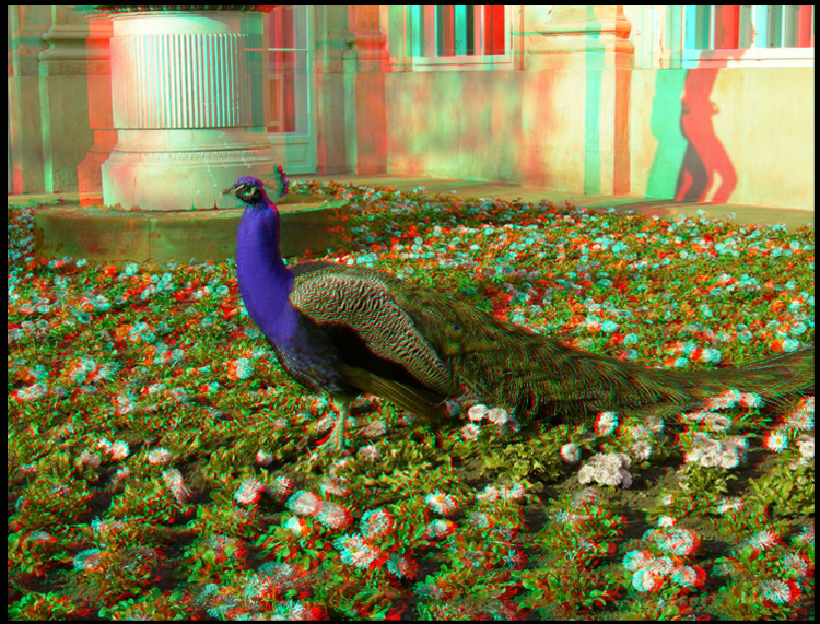 Lunettes 3D RETSING - Ref 1244682 Image 39