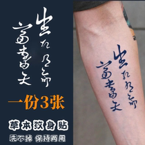 Proverbial life and death is life rich and expensive in Heaven Herbal Juice Tattoo Stick Semi Persistent Realistic Tingen Non Glistening.