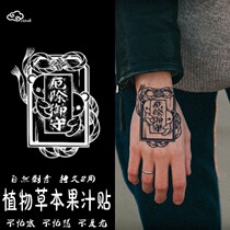 Moldy shipping bye-bye for good luck with herbage juice tattooed with persistent realistic non-reflective and waterproof summer simulation