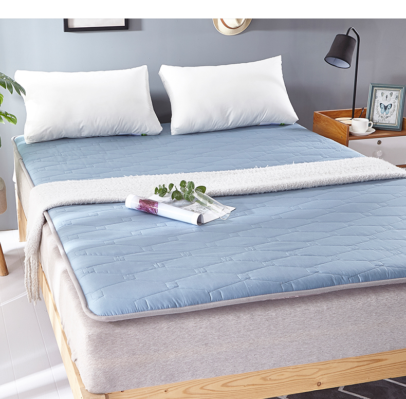 Nệm hai mặt flannel đệm dày nệm ấm sinh viên đơn mùa đông và mùa hè giường đôi giường đôi - Nệm đệm 1m