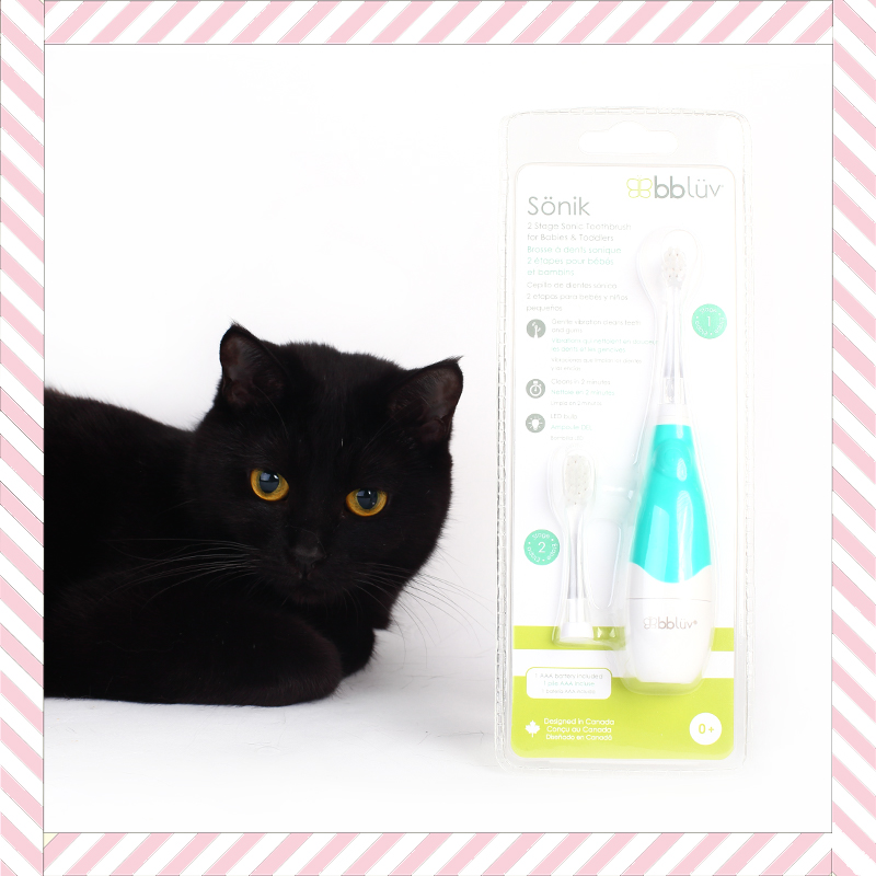 Cat toothbrush LED light-emitting baby ultrasonic soft hair cat oral cleaning Canada bbluv electric toothbrush