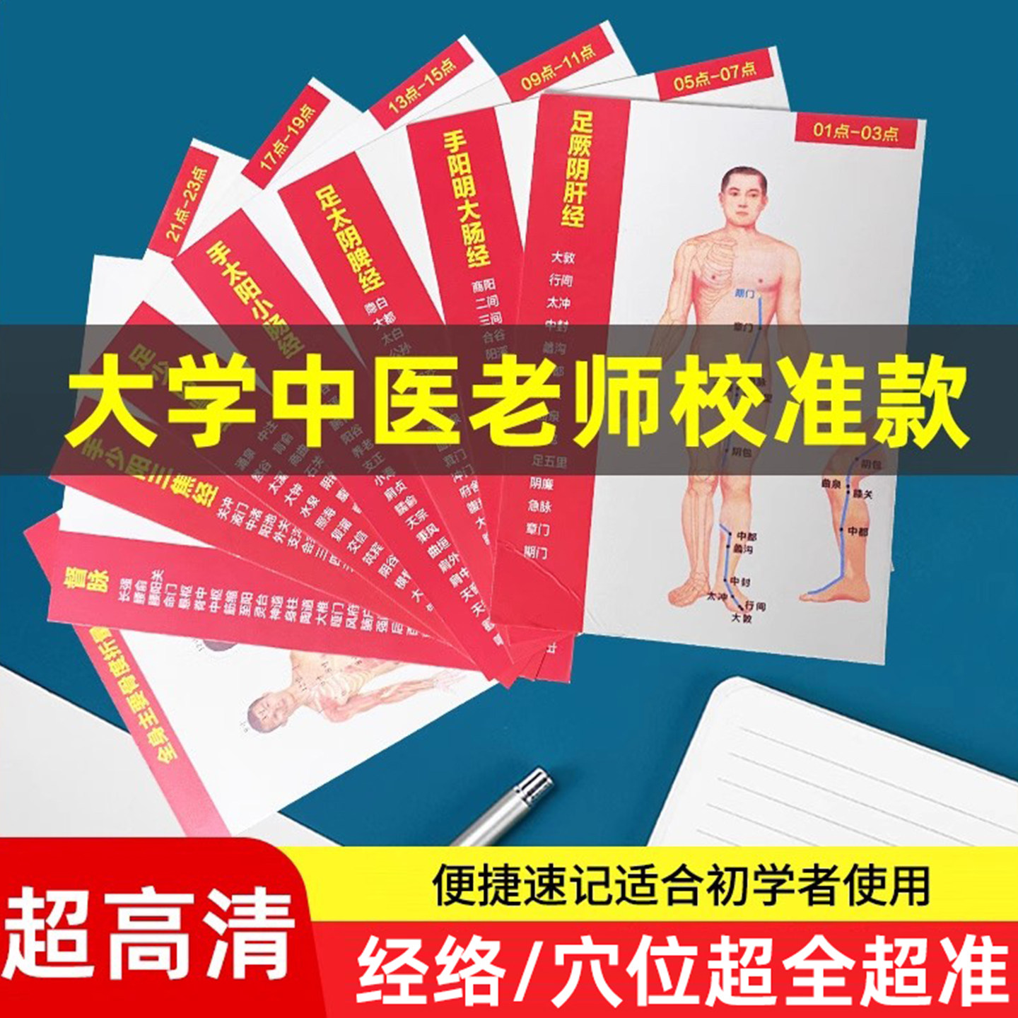 人体穴位高清十二经络图模型标准大图图中医全身挂图针灸速记手册