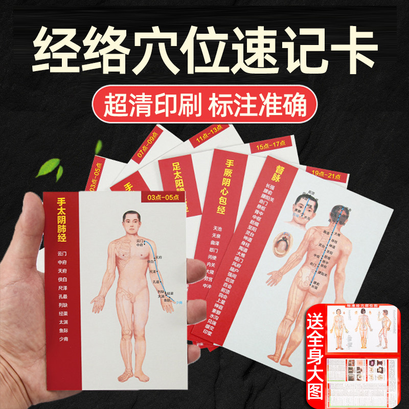 高清十二经络走向模型标准大图人体穴位中医全身挂图针灸速记手册