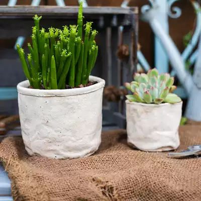 Juhan Nordic pocket flower device Cement literary canvas flower pot Lazy fleshy balcony Creative INS grocery garden