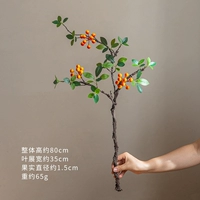 Бегония плодовая (оранжевая)