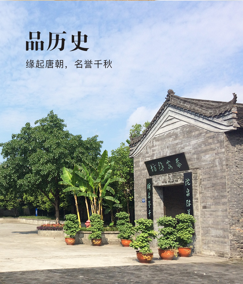 沱牌 头曲淡雅 浓香型 50度白酒 450ml*6瓶 图3