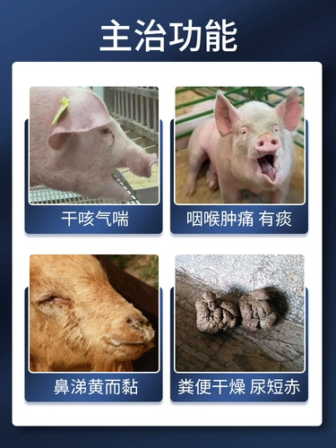 Китайский животный зверь использует легкое и избавление от кашля и свободную свинину, крупный рогатый скот, овца и мокрота, астма, астма, дыхание, кашель, холод, пневмония астмы, пневмония