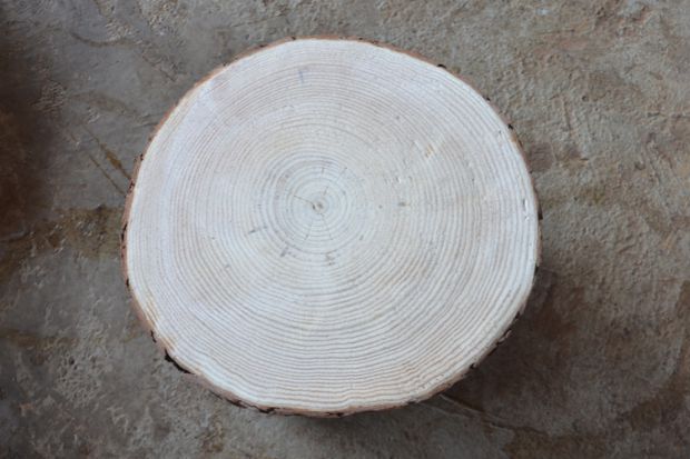 Gỗ thông cánh gỗ rắn gỗ gốc khắc phân phân gốc cây gỗ phân gỗ pier gỗ thông pier gỗ khắc trang trí cơ sở - Các món ăn khao khát gốc mua bộ bàn ghế gốc cây