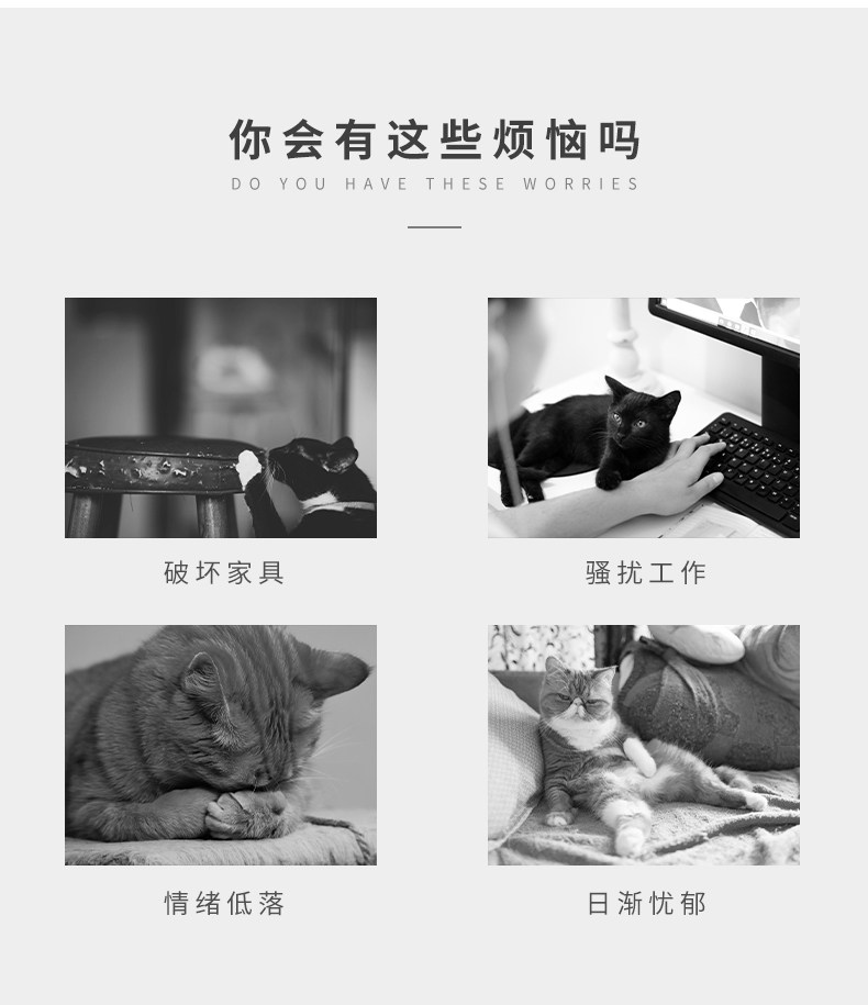 [详情_02.jpg]