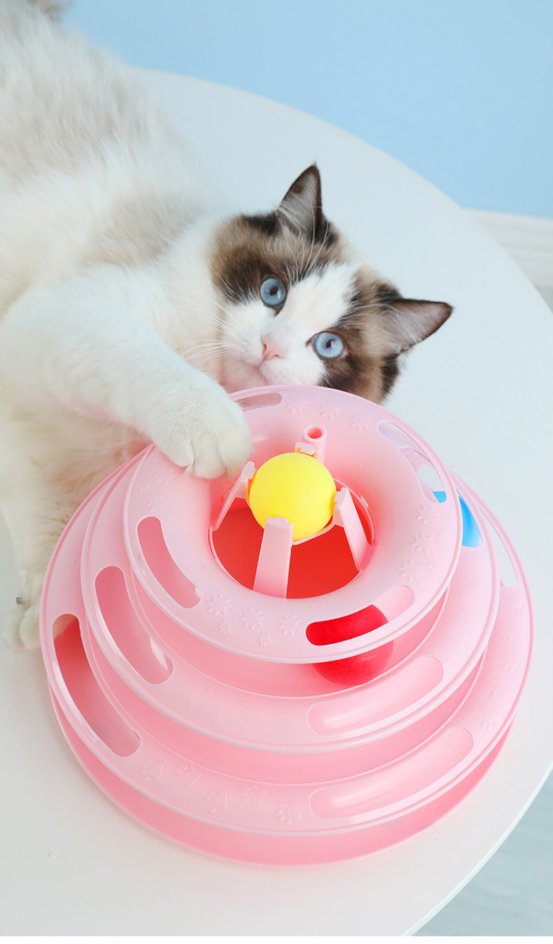 Yp084 Pet Toy Track Ball_08.jpg