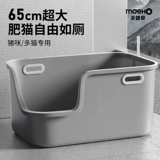 Супер большой кошачий песчаный кот