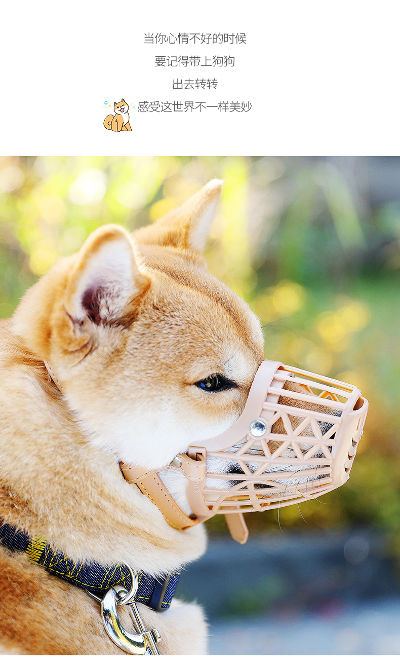 Собака коричневый Mouth cover_13.jpg