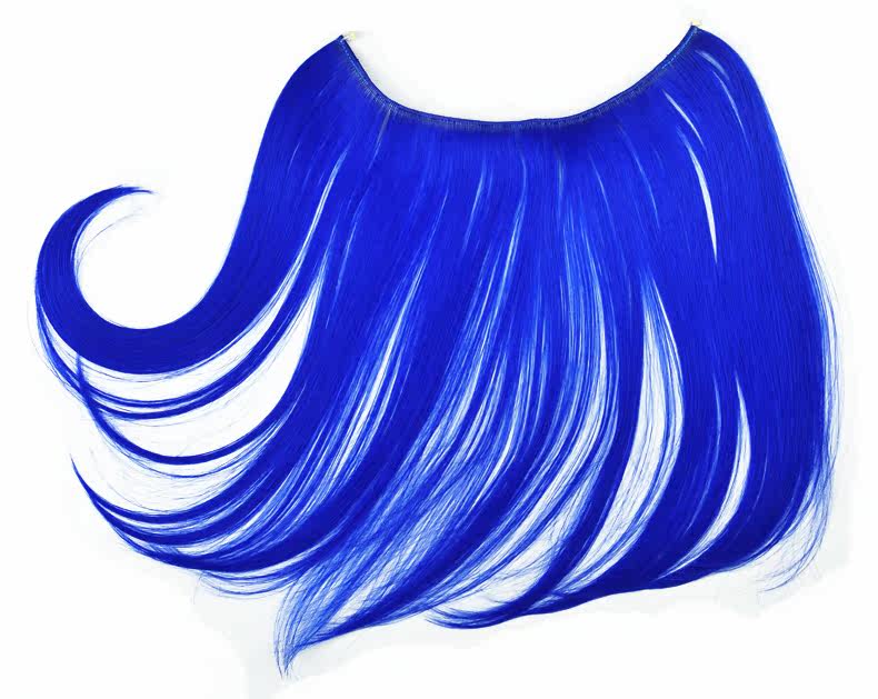 Extension cheveux - Ref 226212 Image 20