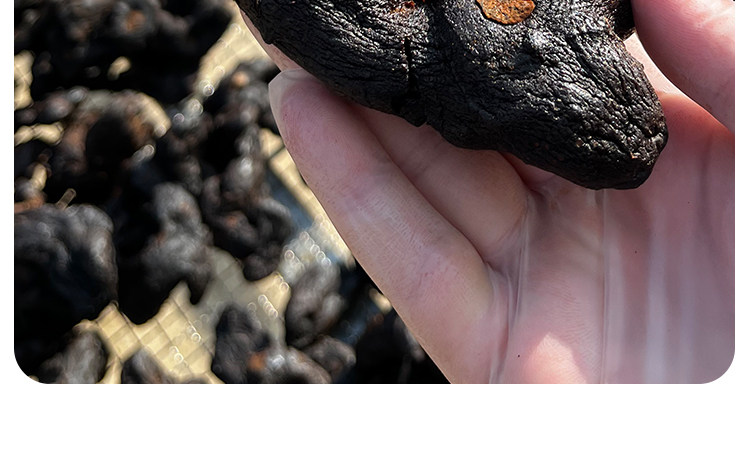 Nine Steamed Nine Sun Dried Huang Jing Fruit Polygonatum Snack 500g specifications