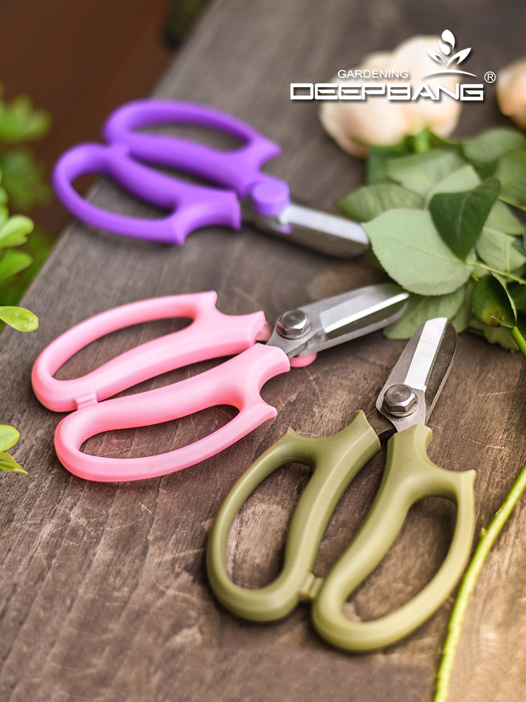 Imported gardening floral scissors Household flower scissors Flowers cut branches Branch Rose season trimmer trimmer pruning tool