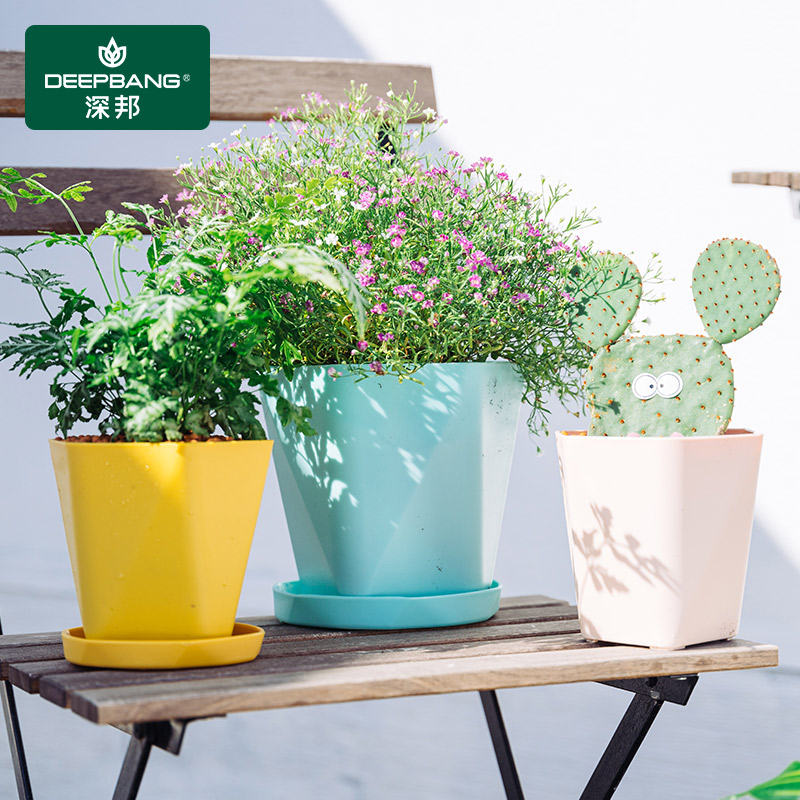 Flower Pot Plastic Resin Multi-Meat Plant Flower Pot Manufacturer Direct Sales Size Number Gallon Flower Pots Clear Cabin Special Imitation Ceramics