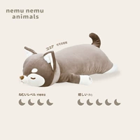 Какао Чихуахуа