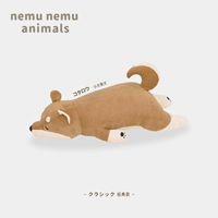 Сяо Тай Шиба Ину