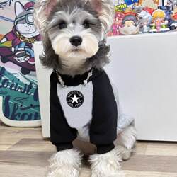 Pet Cat and Dog Spring and Autumn Clothes, Round Neck, Color-Blocked, Fleece-Lined, Thickened, Pure Cotton, Warm Sweatshirt for Small, Medium, and Large Dogs
