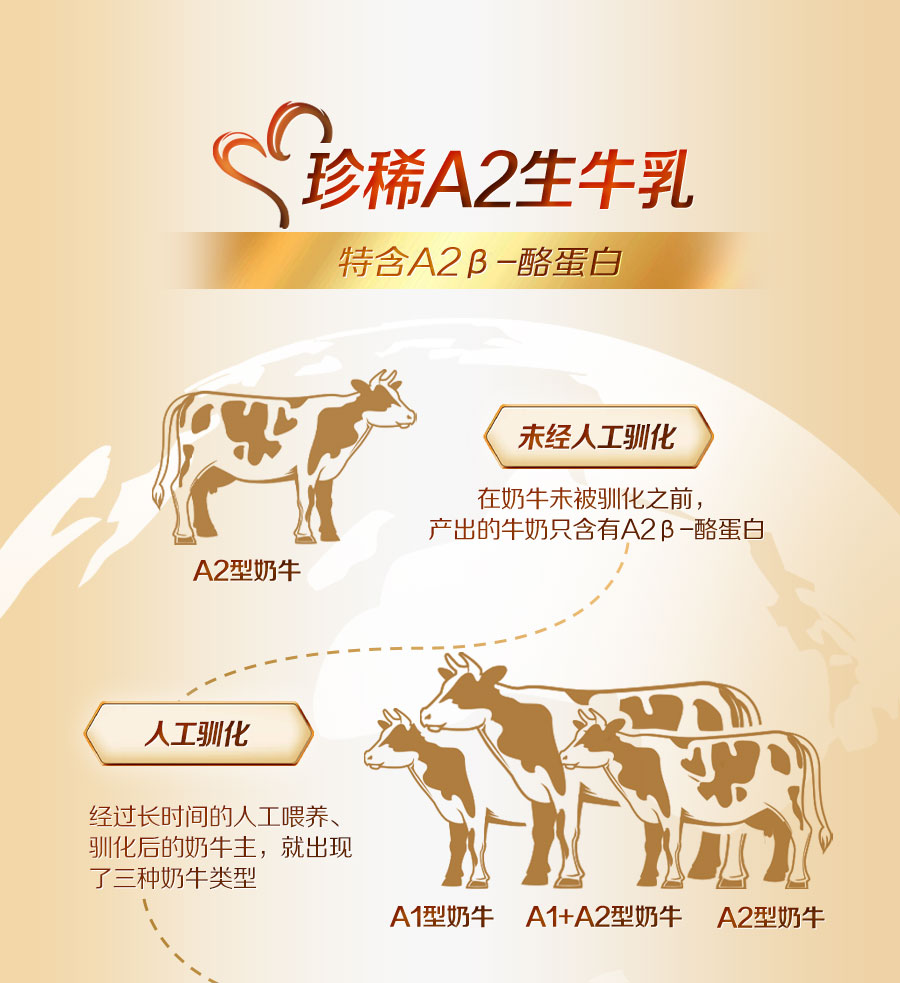 【新品】贝因美菁爱孕产妇奶粉早中晚期800g珍稀A2生牛乳低GI官旗 — 10