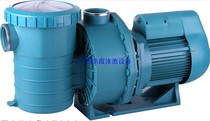 Swimming Pool Equipment Pool Accessories Ai Force Clear Water Pump Filter Pump Italy Pool Water Pump Super Strong Suction