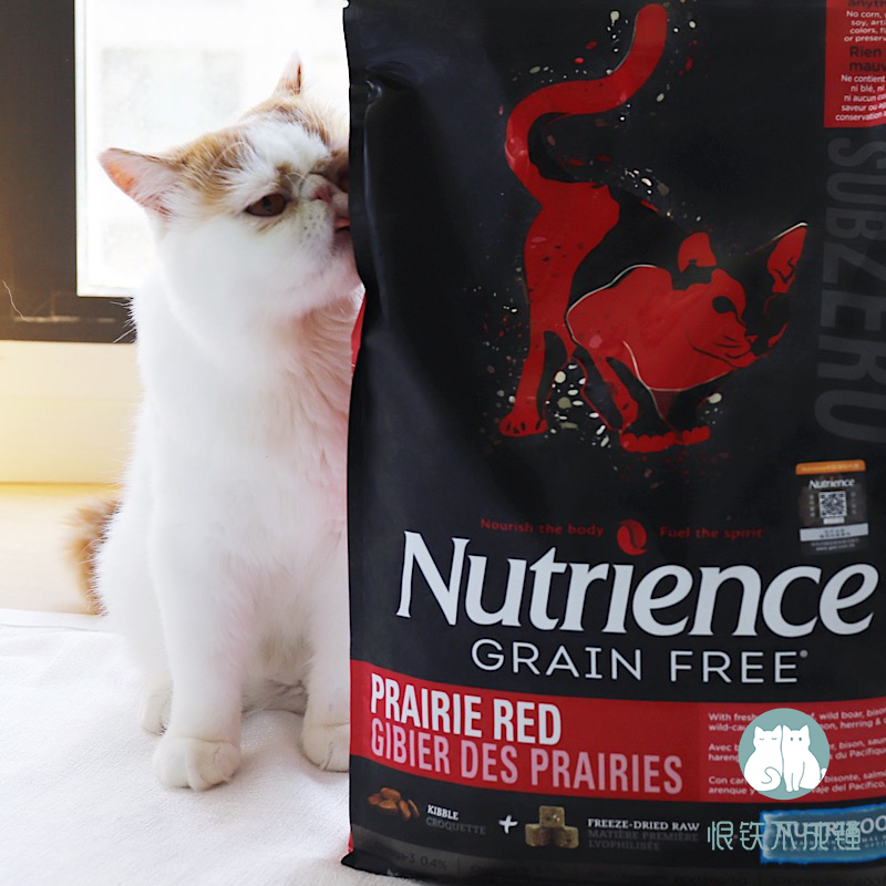 Hate iron can't be hammered Canadian Hagen Nutris black diamond freeze-dried grain-free red meat whole cat food 11 lbs