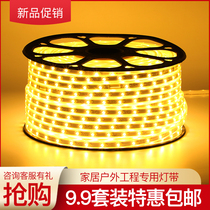 Light with led light bar three-color variable light 220V super bright color changing living room ceiling strip waterproof neon light Outdoor