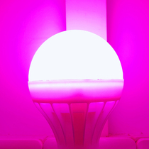 Pink light led bulb filling plastic bulb light E27 screw foot bath lighting bedroom taste atmosphere flirting light