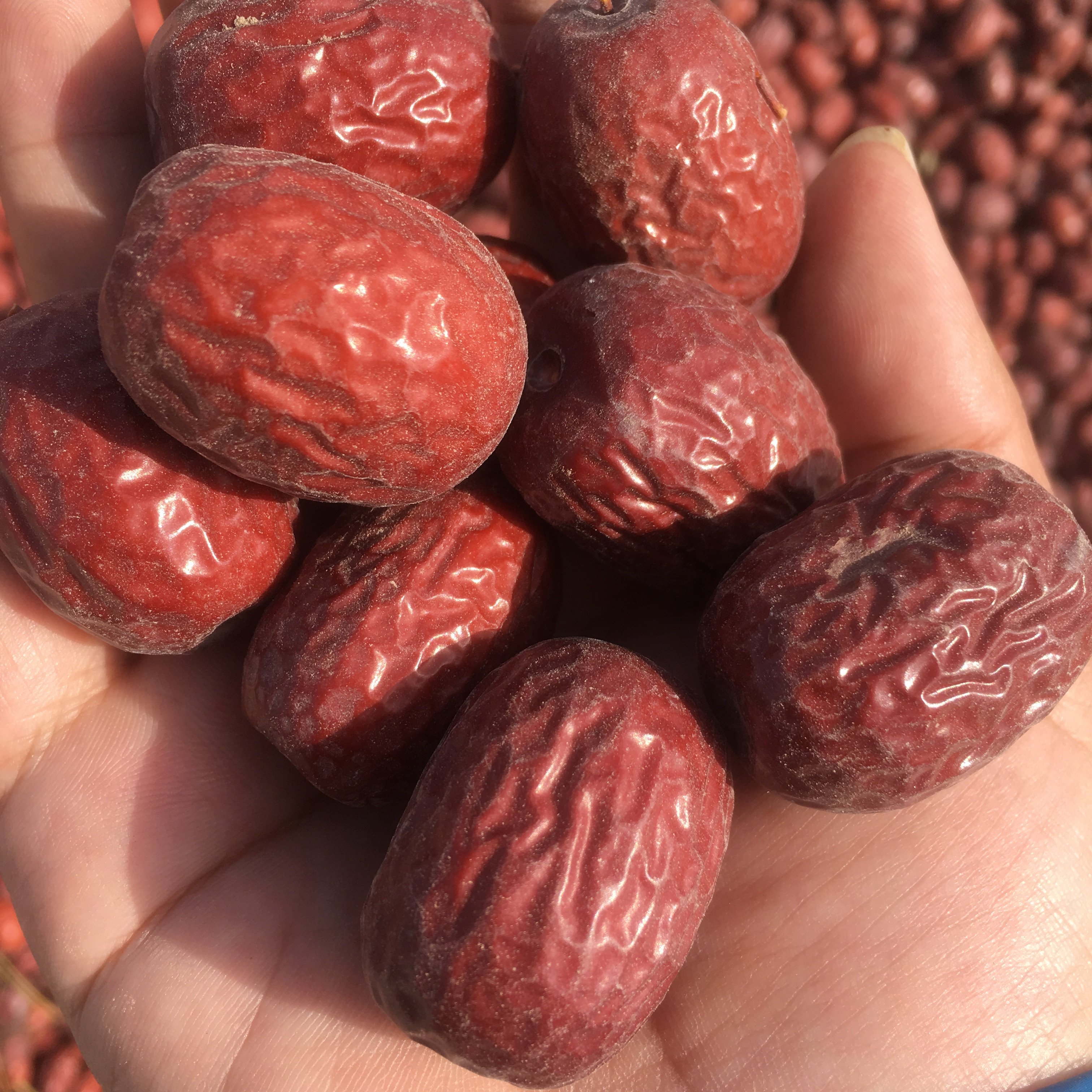 2500g ultra-valued Xinjiang grey dates Ruzao Zaoqiang red dates Zero food if Qiang grey date sauces Zaozhou Zaozhou Zaozhou Zaozao Zaozao Zaozao