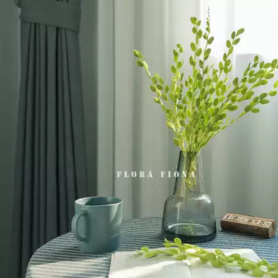 Natural plants, dried flowers, small fresh home interior ornaments, handmade flower arrangement decoration, Japan immortalized imported melon seeds and leaves