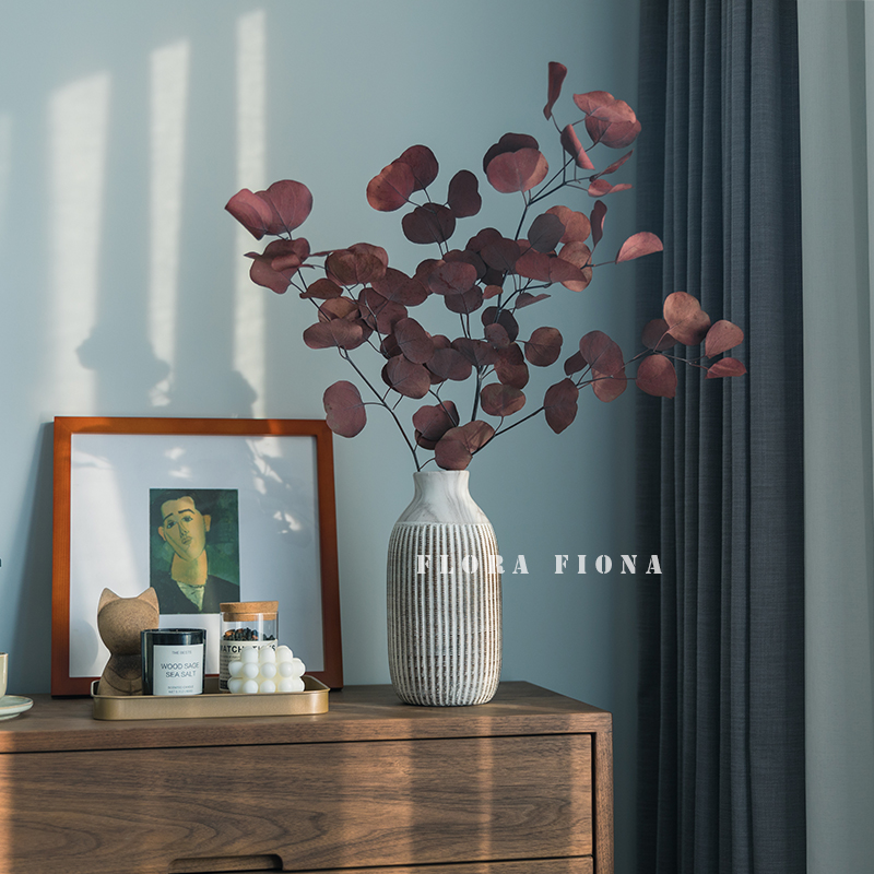 Nordic Imported Natural Dry Flower Round Leaf Yougali Leaf Light Lavish Board Shop Window Decoration Evergreen Flowers Apple Eucalyptus