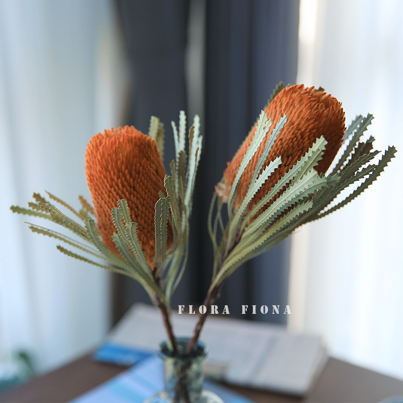 Australia Imported Natural Dry Flowers Bouquet Day Family Living Room Decoration Nordic Wind Retro Flower Arrangement Bankwood