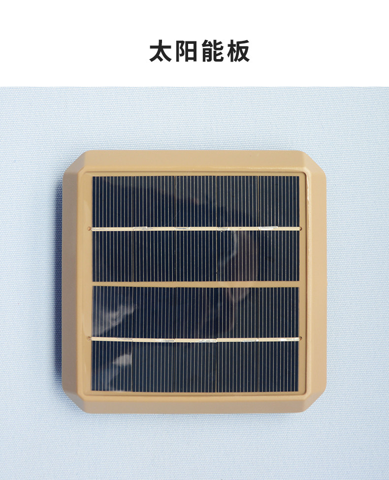 Баухиния павильон римский зонтик подробности_17.jpg