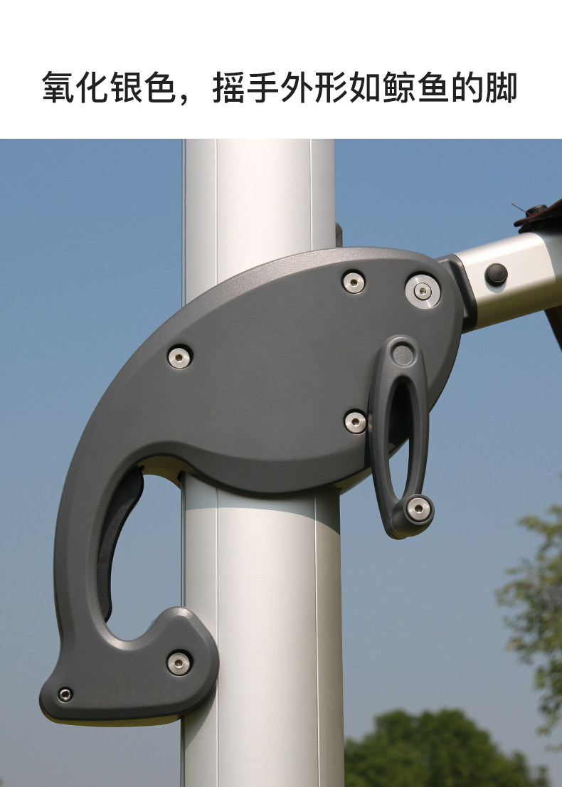 Баухиния павильон римский зонтик детали_14.jpg