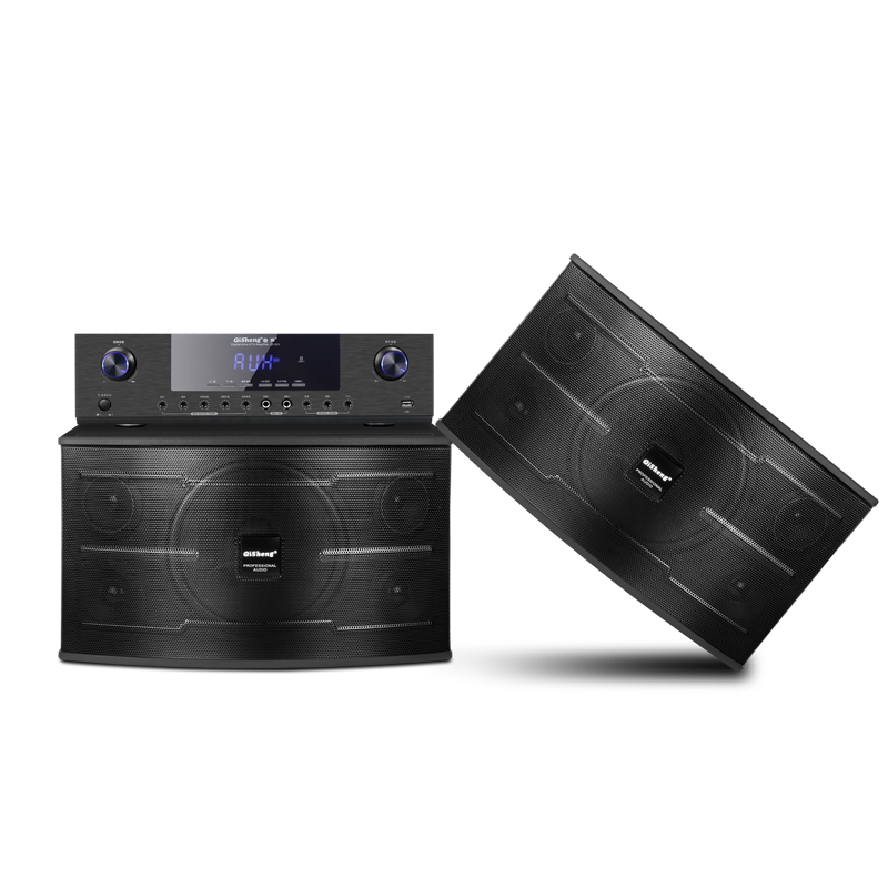 Qisheng K16 Audio Home Ktv Theater-Style Living Room Karaoke Set Conference Karaoke Tv Singing Machine Combo