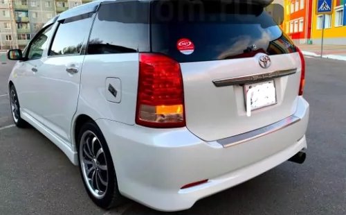 Little Bawang Wish 10 Series 20 серии серии задних барьерных дверных охранников модифицированная задняя дверь отделка 03-17