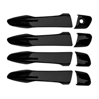 Черный полюс