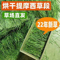 22 years New mention Moshe grass drying North Tigrass section Boxster Rabbit Dragon Cat Guinea Pigs Food Feed Gross 1kg
