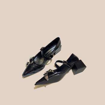 2025 New Spring Retro Cross-Tied Pointed Toe Shallow Slip-On Versatile Mid-Heel Mary Jane Chunky Heel Women's Shoes