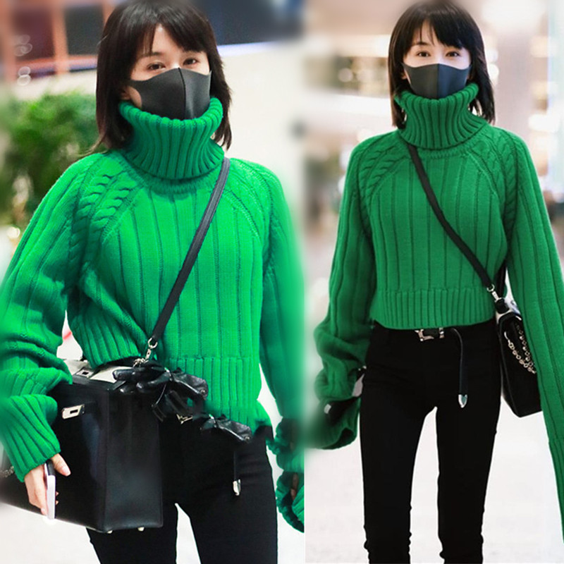 Prince Wentong's sweater women's 2018 new ultra short and green high collar personality net red clothes to hit bottom sweaters