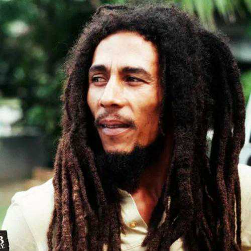 2022 New Reggae Dreadlocks Twist Braid Wig Rock Singer Hairstyle Props Black Wig African Thick Braids
