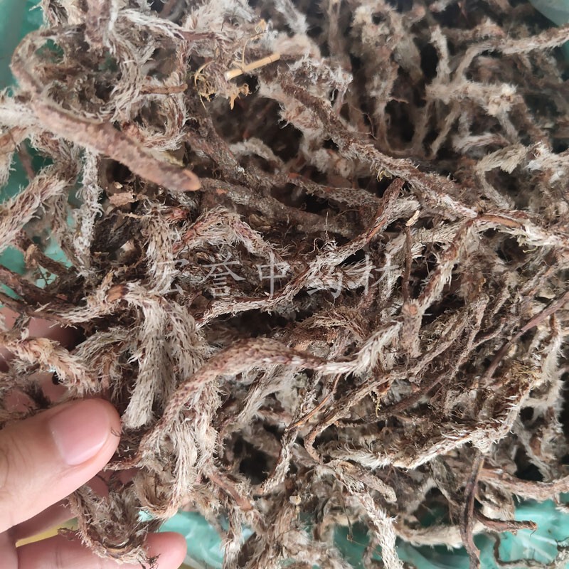 White-Haired Snake Root Chinese Herbal Medicine Fresh Dry Goods Vaginal Stone Fern Silkworm Rat Tail White-Haired Bone Chopped 500g White-Haired Snake Root Chinese Herbal Medicine Fresh Dry Goods Vaginal Stone Fern Silkworm Rat Tail White-Haired Bone Chopped 500g