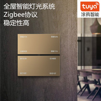 Smart switch smart light control system whole house smart home Morgan graffiti eight-button button remote control switch