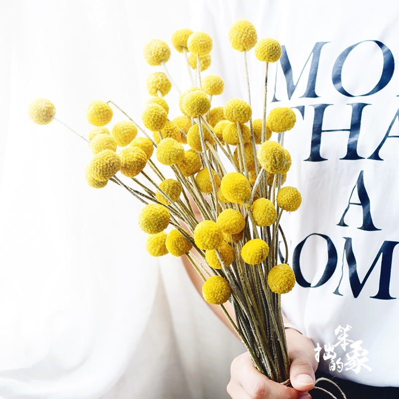Yellow Gold Ball Dry Flower Add Vase Suit Net Red Drying Flowers Home Furnishing Little Fresh Nordic Indoor Real Flower Golden Mallet Flowers