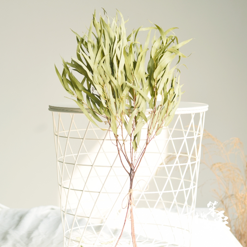 Natural Millet Leaf Dry Flower Bouquet Eucalyptus Leaf Millet Fruit Nordic Ins Soft Dress Flower Arrangement Leaf Fine Leaf Yougali