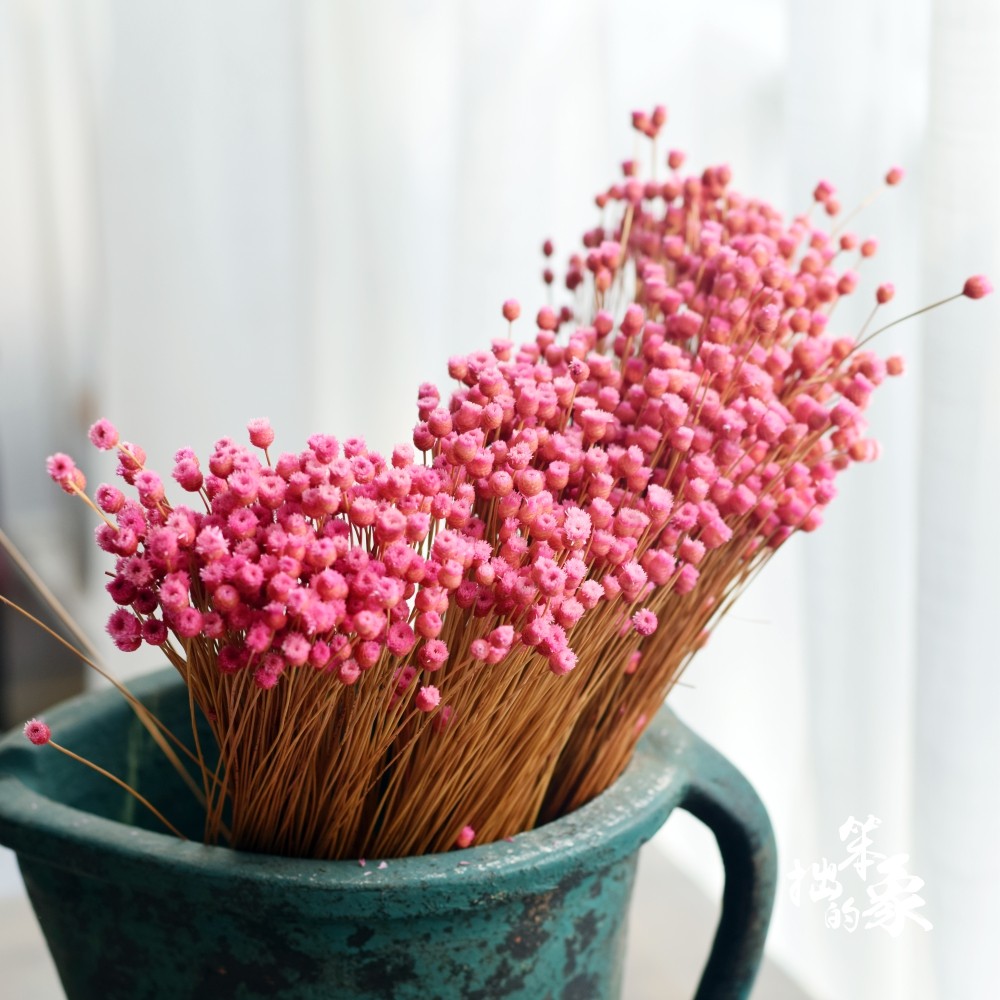 Natural Happy Flowers Small Bouquet Mini Import Dried Flowers Handmade Diy Tabletop Decorations Props Dried Flowers